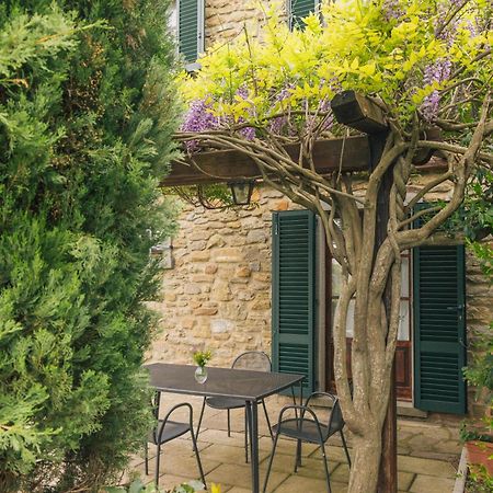 Agriturismo Il Borgo กอร์โตนา ภายนอก รูปภาพ