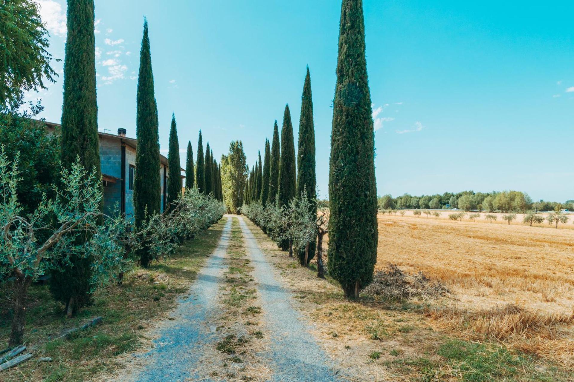 Agriturismo Il Borgo กอร์โตนา ภายนอก รูปภาพ