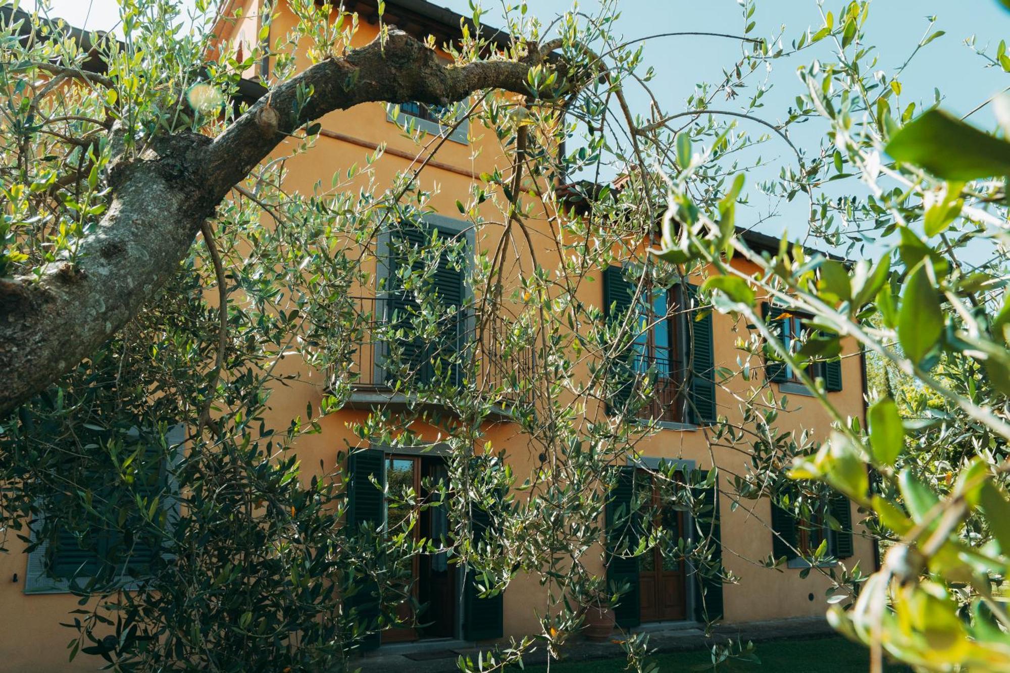 Agriturismo Il Borgo กอร์โตนา ภายนอก รูปภาพ