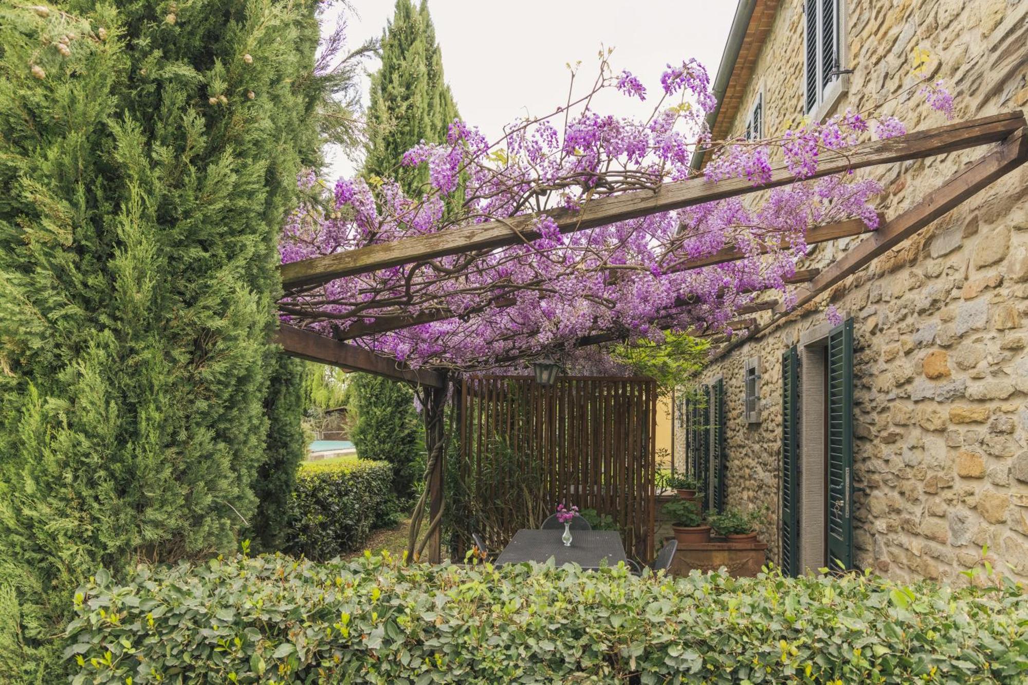 Agriturismo Il Borgo กอร์โตนา ภายนอก รูปภาพ